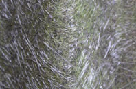 Low Angerton fibreglass roof work